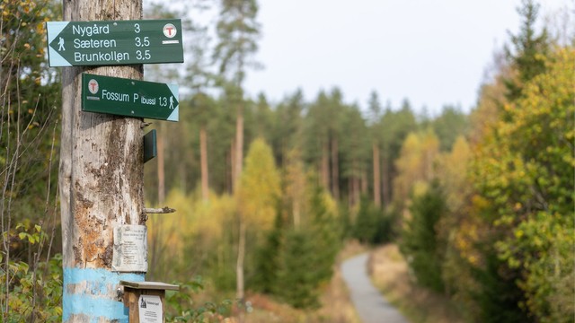 Fantastiske turmuligheter innover Bærumsmarka