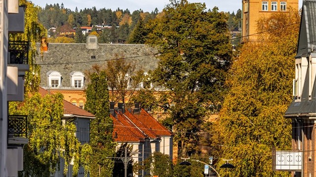 Rolige og idylliske Adamstuen