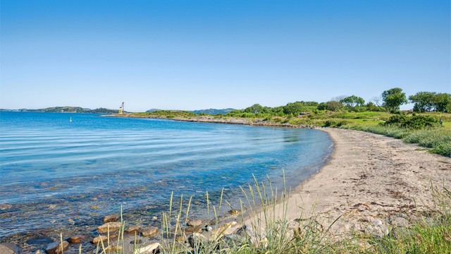 Nærområdet