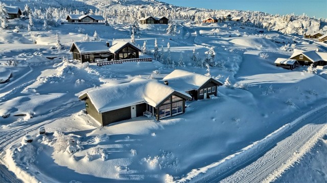 Nydelig beliggenhet med god plass rundt hytten (selgers arkivbilde)
