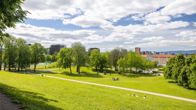 Hyggelige Tøyenparken byr på store grøntarealer, fotballbane og interne turveier.