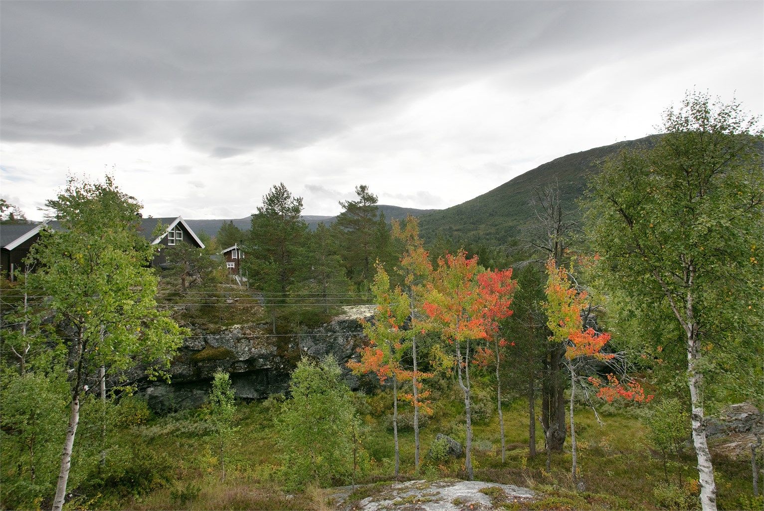 Flotte naturomgivelser med fargerik vegetasjon og variert fjellterreng.