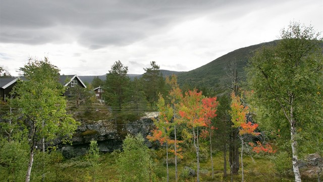 Flotte naturomgivelser med fargerik vegetasjon og variert fjellterreng.