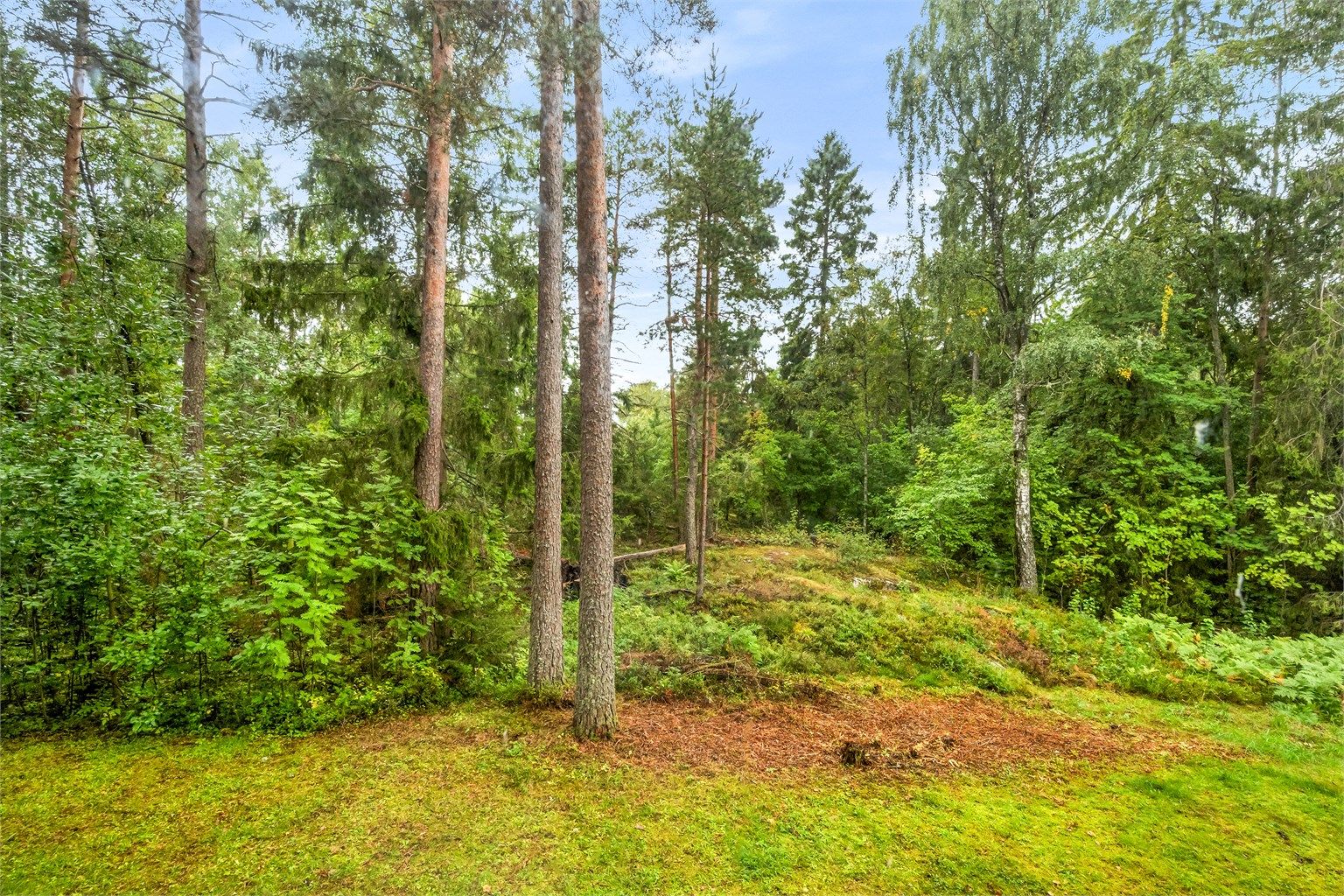 Begge soverommene vender ut mot grønt og frodig skogholt. 
Her kan det observeres både ekorn, rikt fugleliv og rådyr fra tid til annen. 