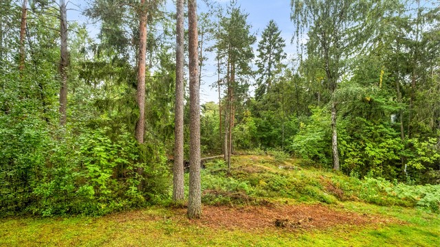 Begge soverommene vender ut mot grønt og frodig skogholt.
Her kan det observeres både ekorn, rikt fugleliv og rådyr fra tid til annen.