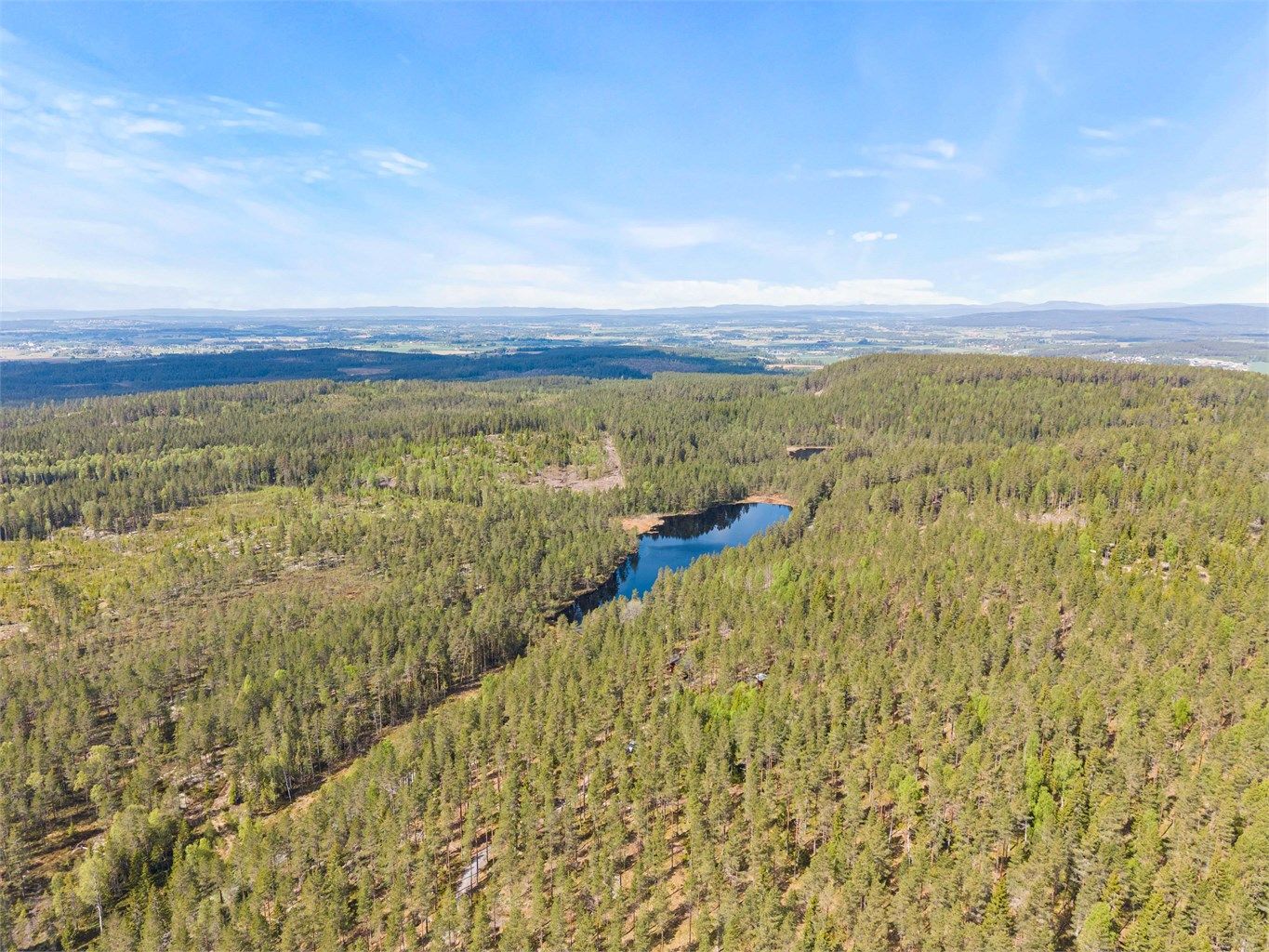 Idyllisk tjern i skogsteigen.