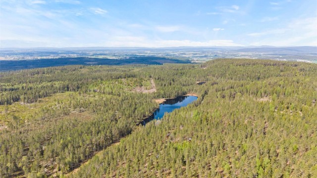 Idyllisk tjern i skogsteigen.