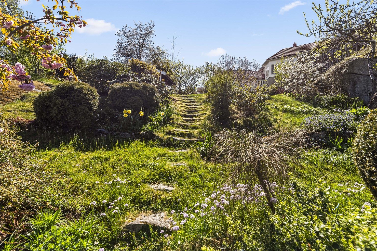 Tomten er skrånende og pent opparbeidet med plen, beplantning og trapper i naturstein.