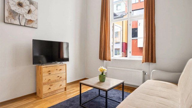 Fjernvarme med radiator i stue/kjøkken (felles varmesentral).