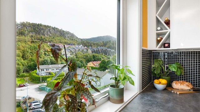 - Utsikt fra kjøkkenet -