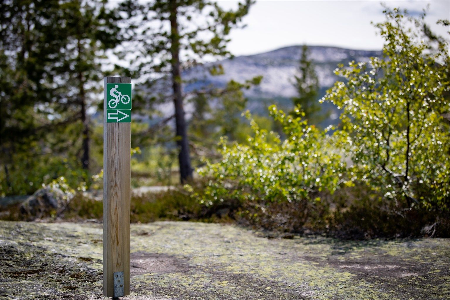Det er også mange som benytter fjellene til å sykle med terrengsykkel.