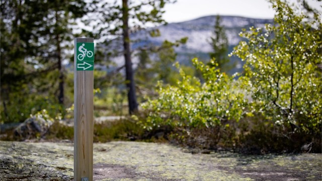 Det er også mange som benytter fjellene til å sykle med terrengsykkel.