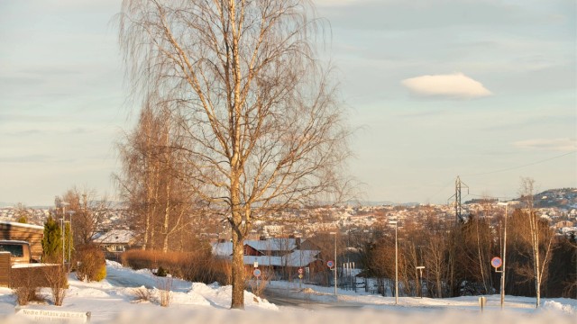 For ytterligere servicefasiliteter og shoppingmuligheter, er det en rask 11 minutters kjøretur til City Syd, hvor du finner et mangfold av butikker, restauranter, apotek, vinmonopol, frisører og mer.