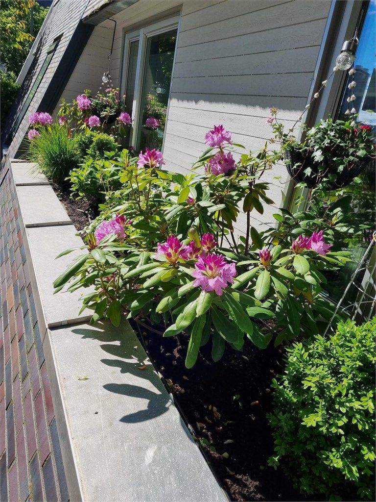 Nydelige bed på langsiden av leiligheten! 