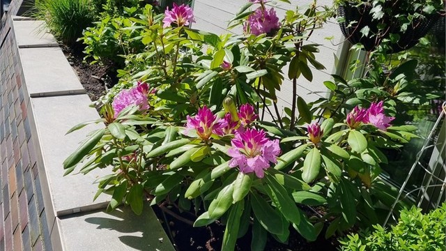 Nydelige bed på langsiden av leiligheten!