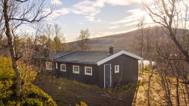 Røros er kjent for sitt unike miljø og levende kulturarv. I vinterferien våkner hele bergstaden til liv under Rørosmartnan, en tradisjon som har blitt feiret siden 1854. Da fylles gatene av folk, handelsboder, hest og slede og en helt spesiell atmosfære.