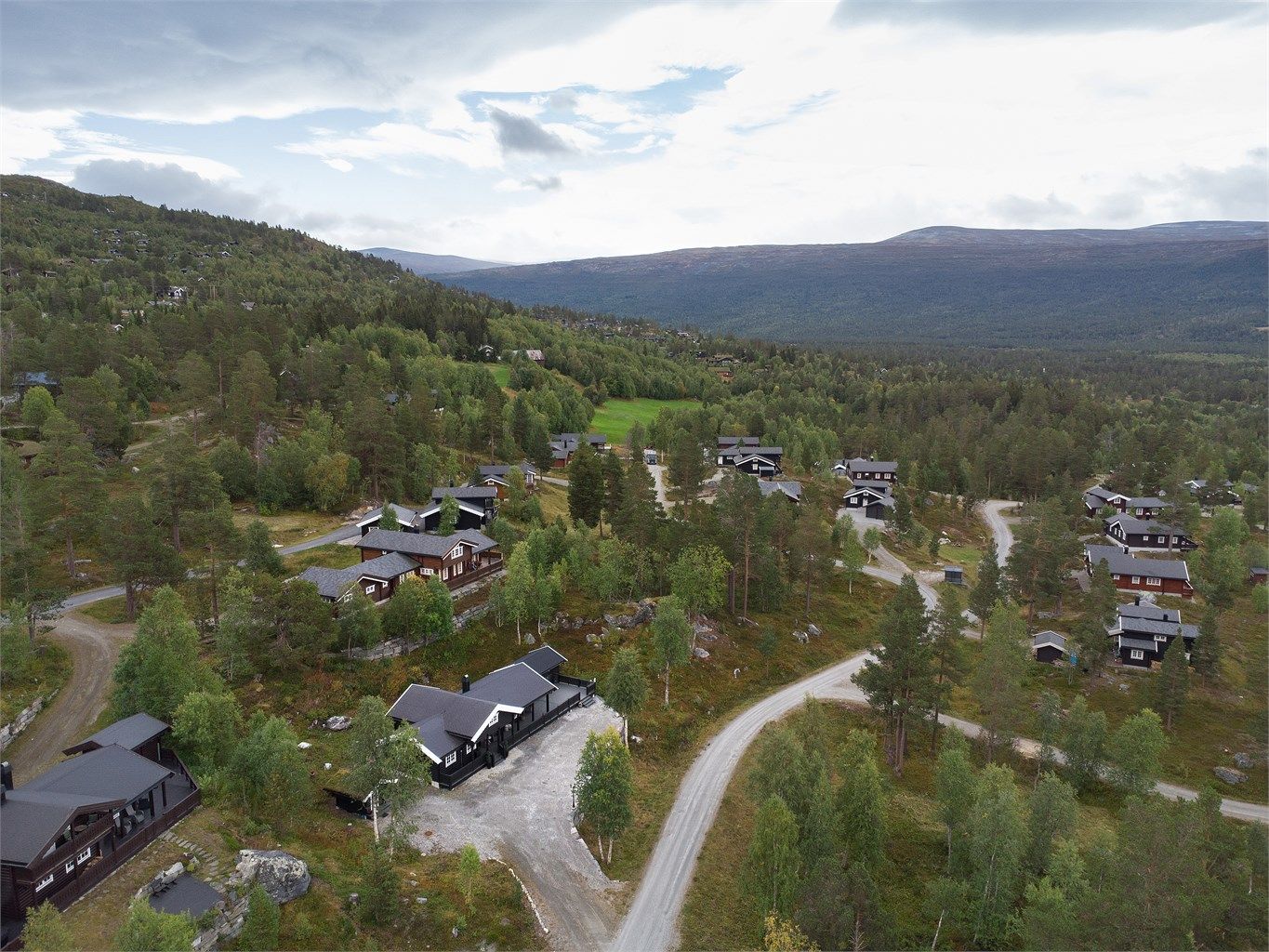 Dronebilde av nærområdet