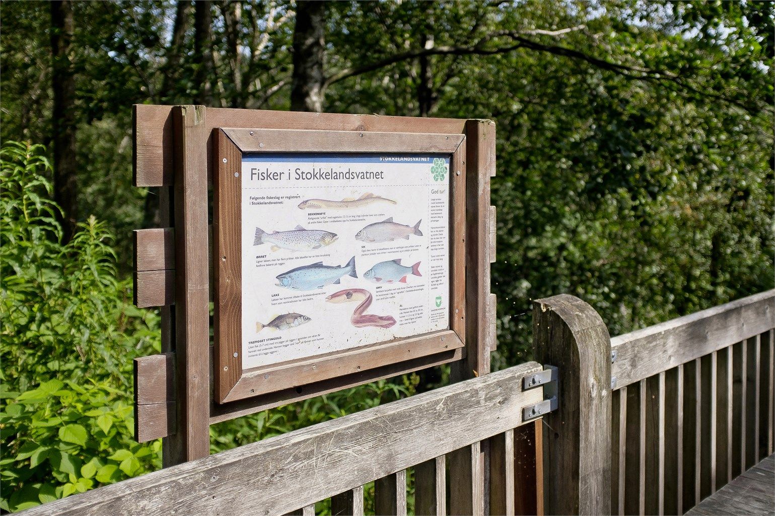 Stokkelandsvatnet er et populært turområde for både turgåere, joggere og fiskere.