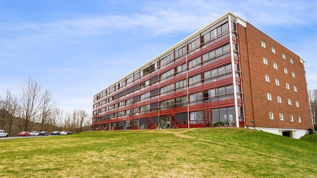 Borettslaget har store, opparbeidede fellesarealer med plen og internstier.