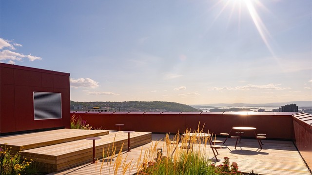 Felles takterrasse med utsikt over fjorden og rikelig med sitteplasser.
