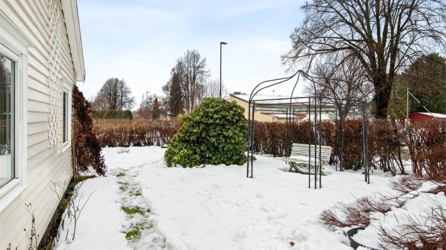 Koselig og solrik hage.