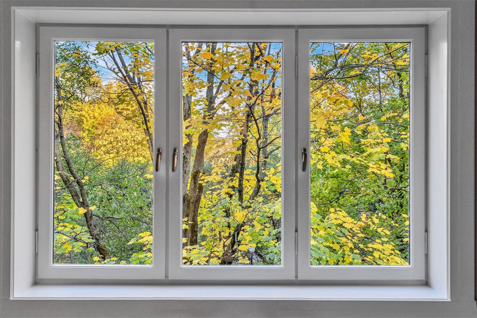 Utsyn mot Hallénparken som gir en hyggelig stemning gjennom alle årets årstider 