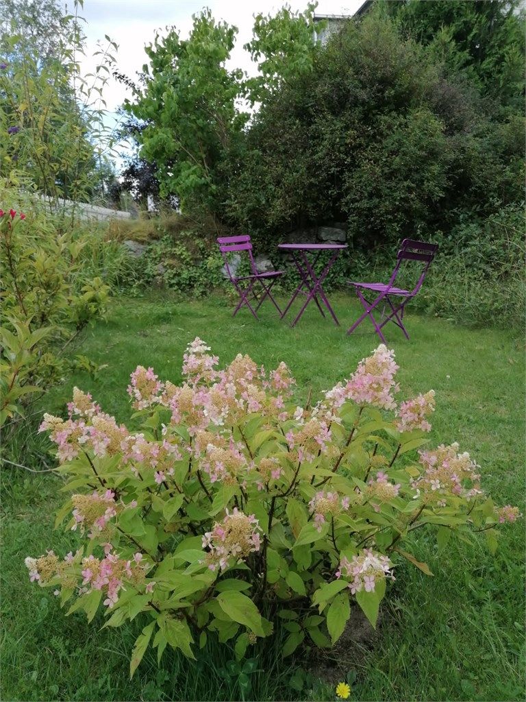 Den disponible hagen gir en fin forlengelse av boligen i sommerhalvåret, med rom for både sittegruppe og beplantning. (Selgers bilde)