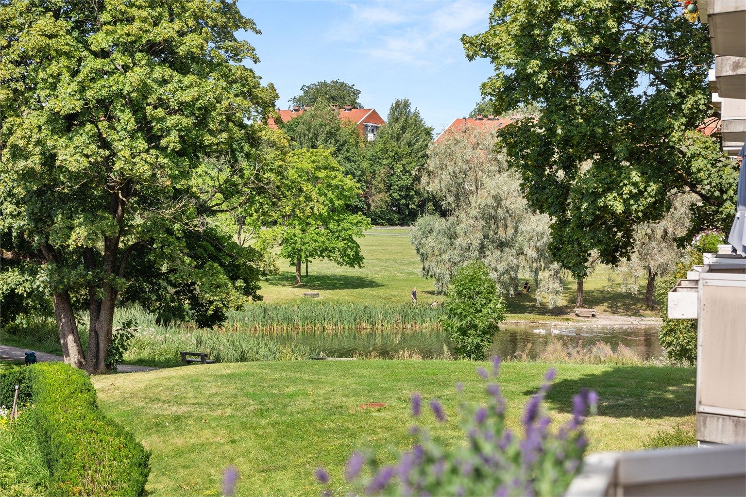 Her bor du med Hovindammens vakre grøntområder som en naturlig del av nabolaget.