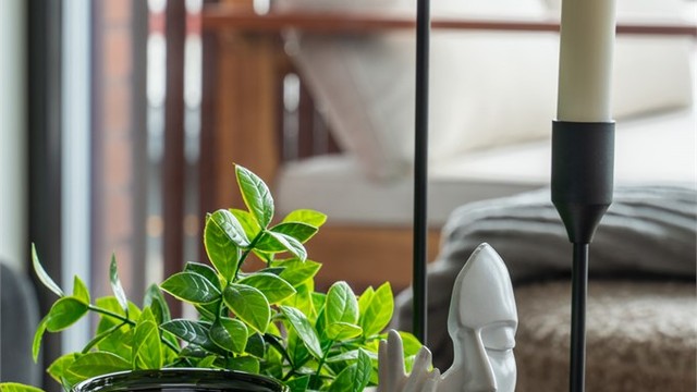 Detaljbilde.