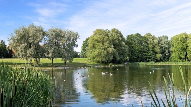 Hovindammen er nærmeste nabo.