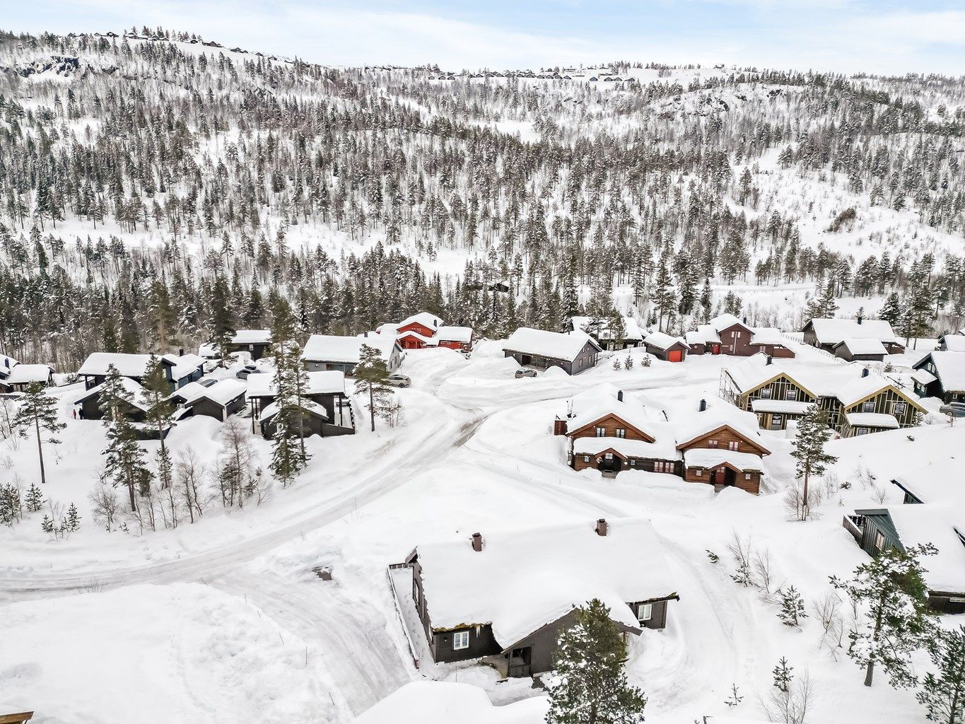 Nærhet til skiløyper og skisenteret.
