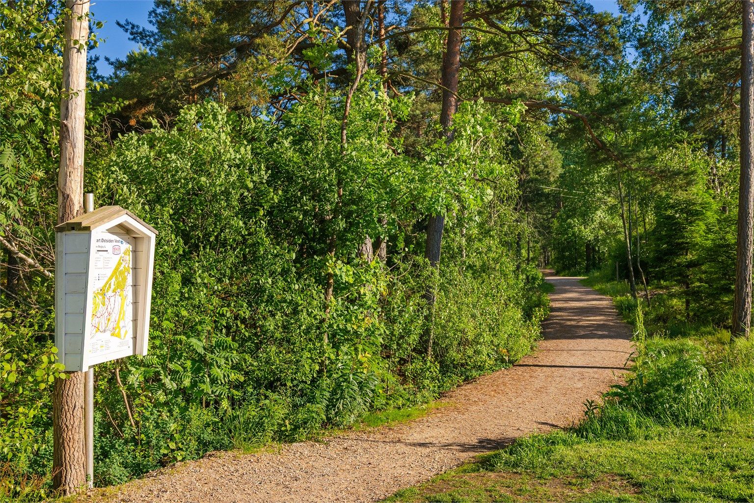 Turveien rett over gaten leder direkte til lysløypen hvor det er skispor når forholdene tillater vinterstid.