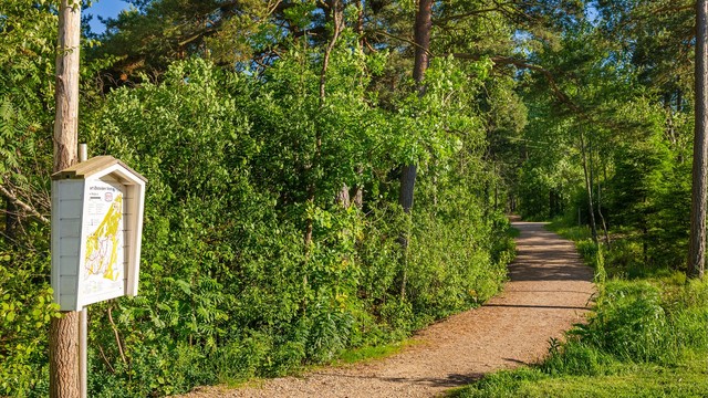 Turveien rett over gaten leder direkte til lysløypen hvor det er skispor når forholdene tillater vinterstid.