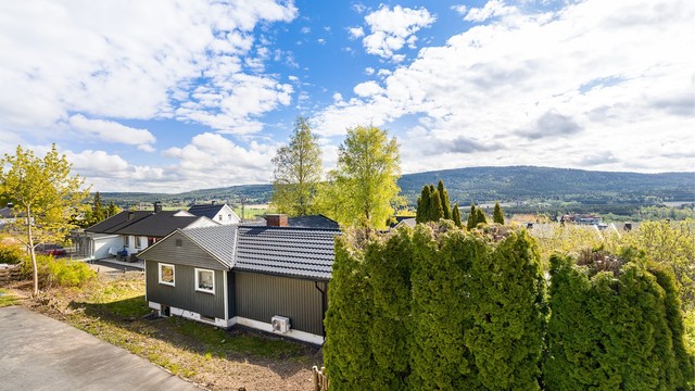 Utsikten