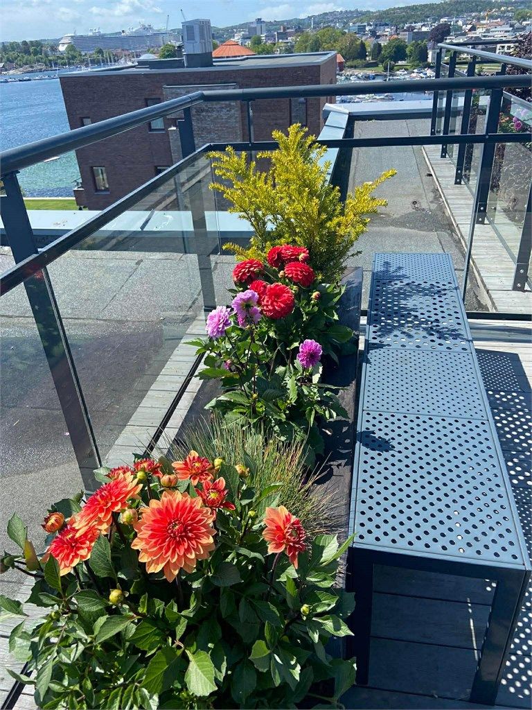 Terrassen har flott utsikt og gode solforhold (selgers bilde). 