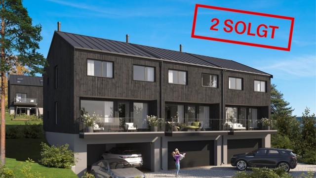 3 D illustrasjon fasader (avvik må påregnes).