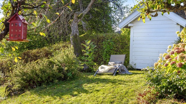 Hagen byr på flotte farger og varierte uttrykk gjennom
årstidene.