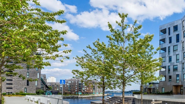 Lervigbrygga badeplass.