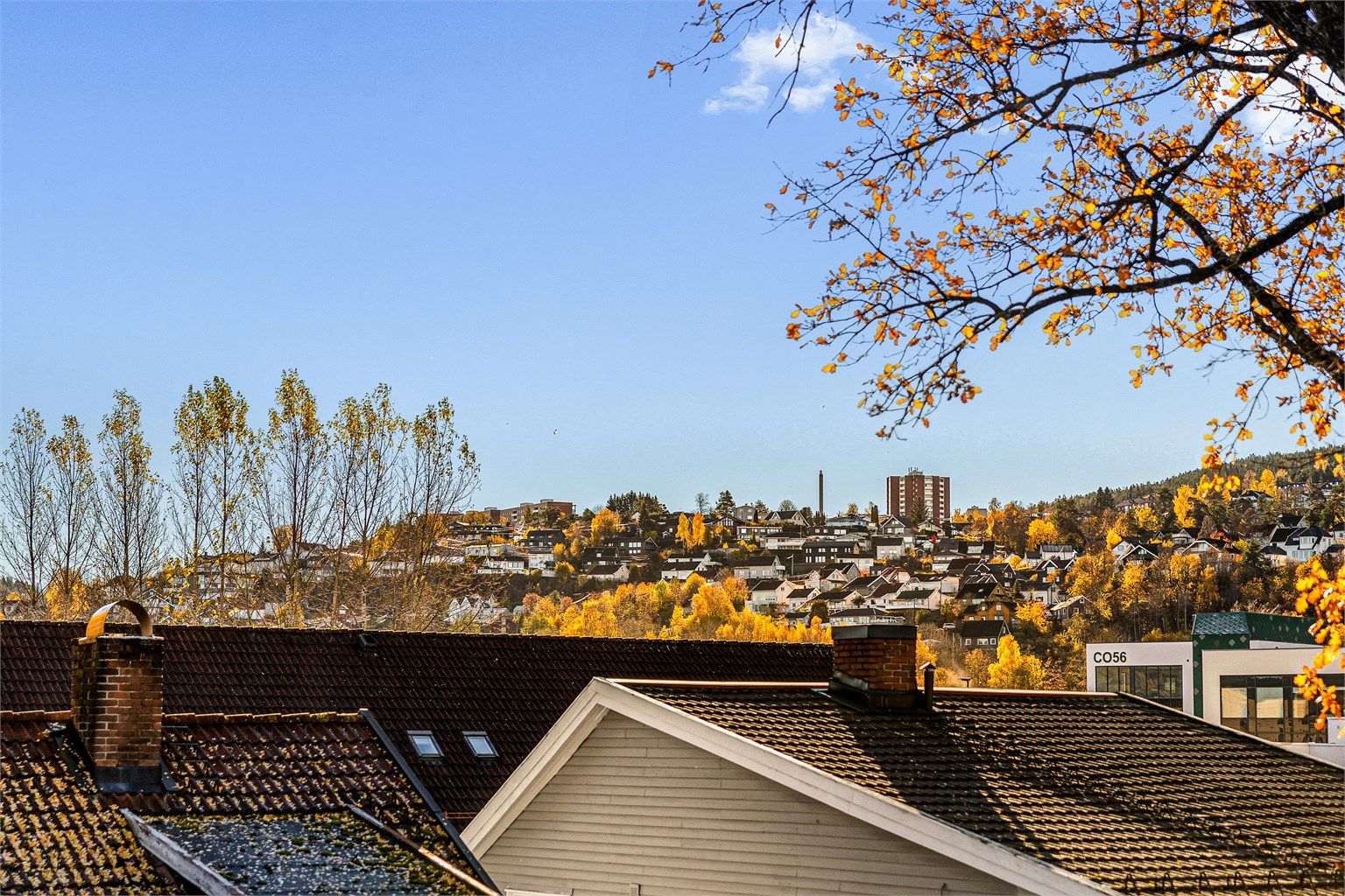 Utsikt - Nærområdet.