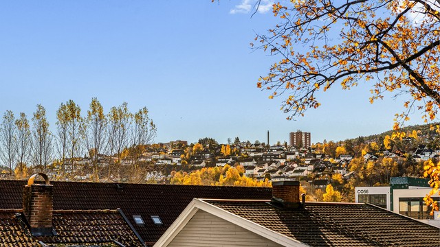 Utsikt - Nærområdet.
