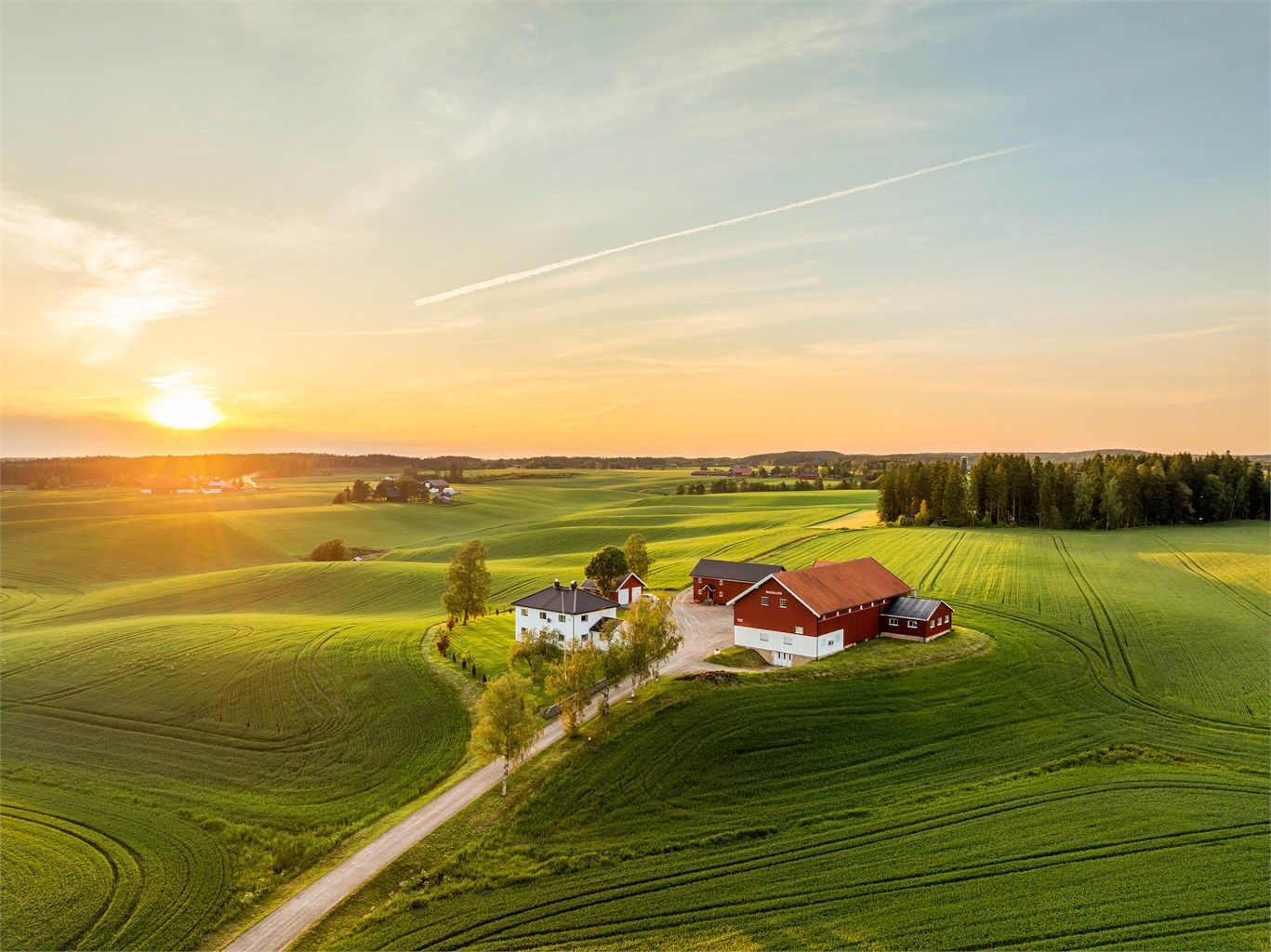 Ringsbyveien 110 presenteres av Amir Pedersen-Paydar i Krogsveen.