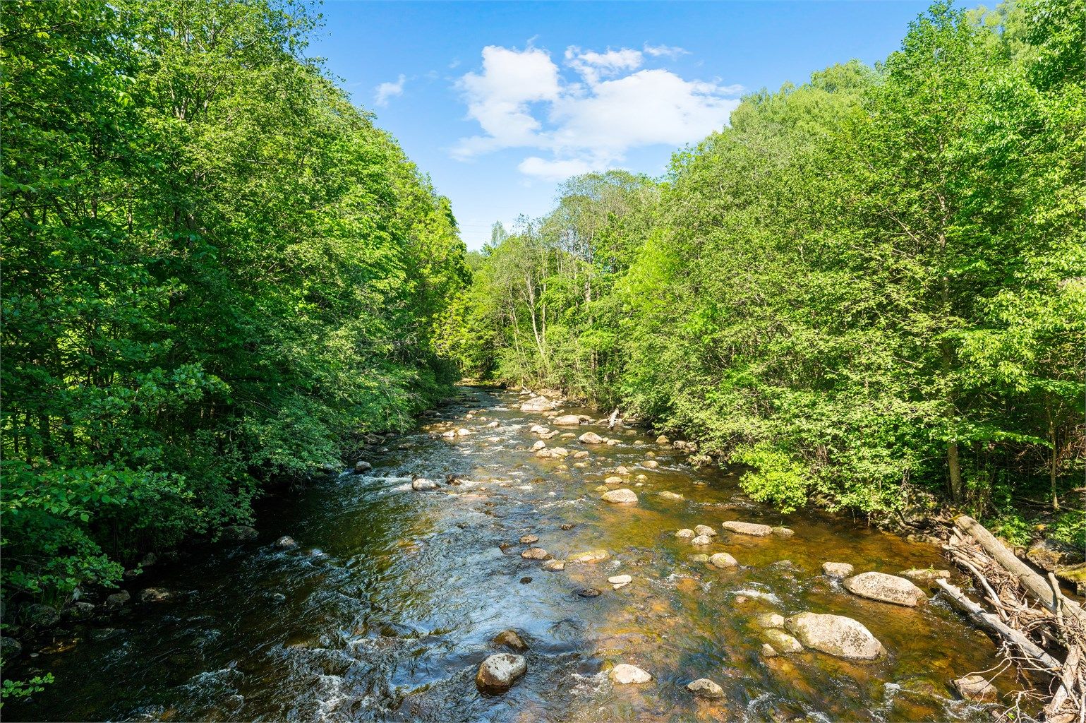 Området er et ideelt utgangspunkt for et aktivt liv i naturskjønne omgivelser.
