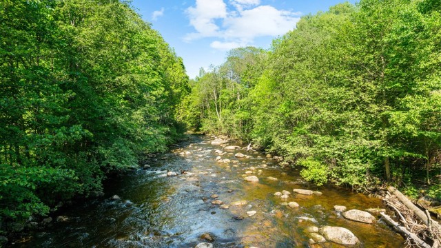 Området er et ideelt utgangspunkt for et aktivt liv i naturskjønne omgivelser.