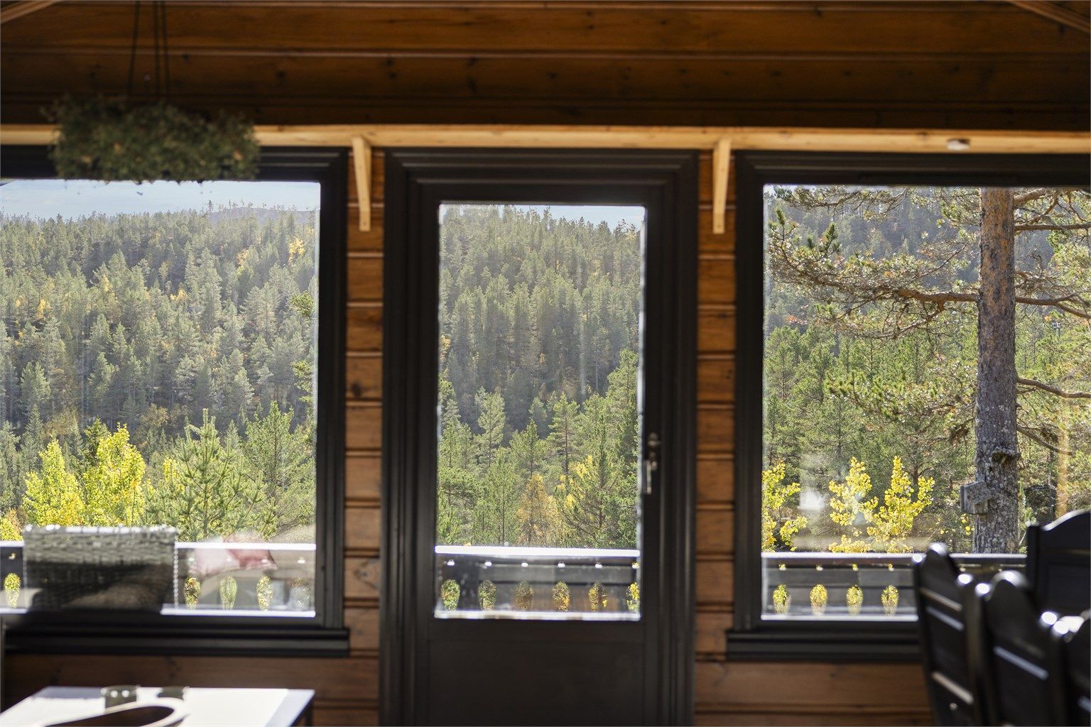Utsyn over de skogkledde åsene gjennom vinduene og terrassedøren i stuen.