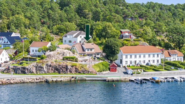 Grensene til strandlinjen/tilhørende brygge kan ses i grønt