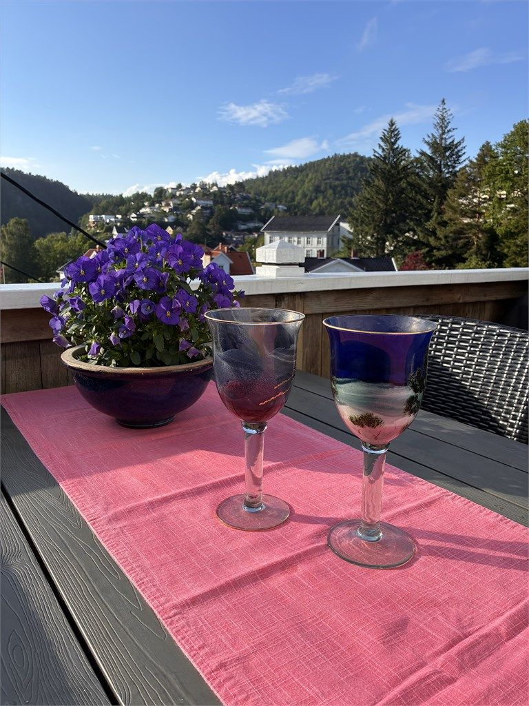 Flott utsikt fra verandaen.