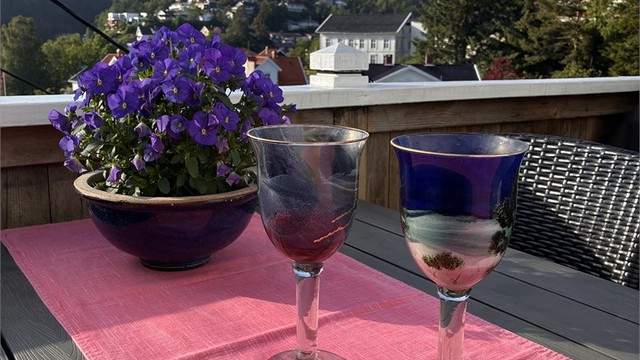 Flott utsikt fra verandaen.