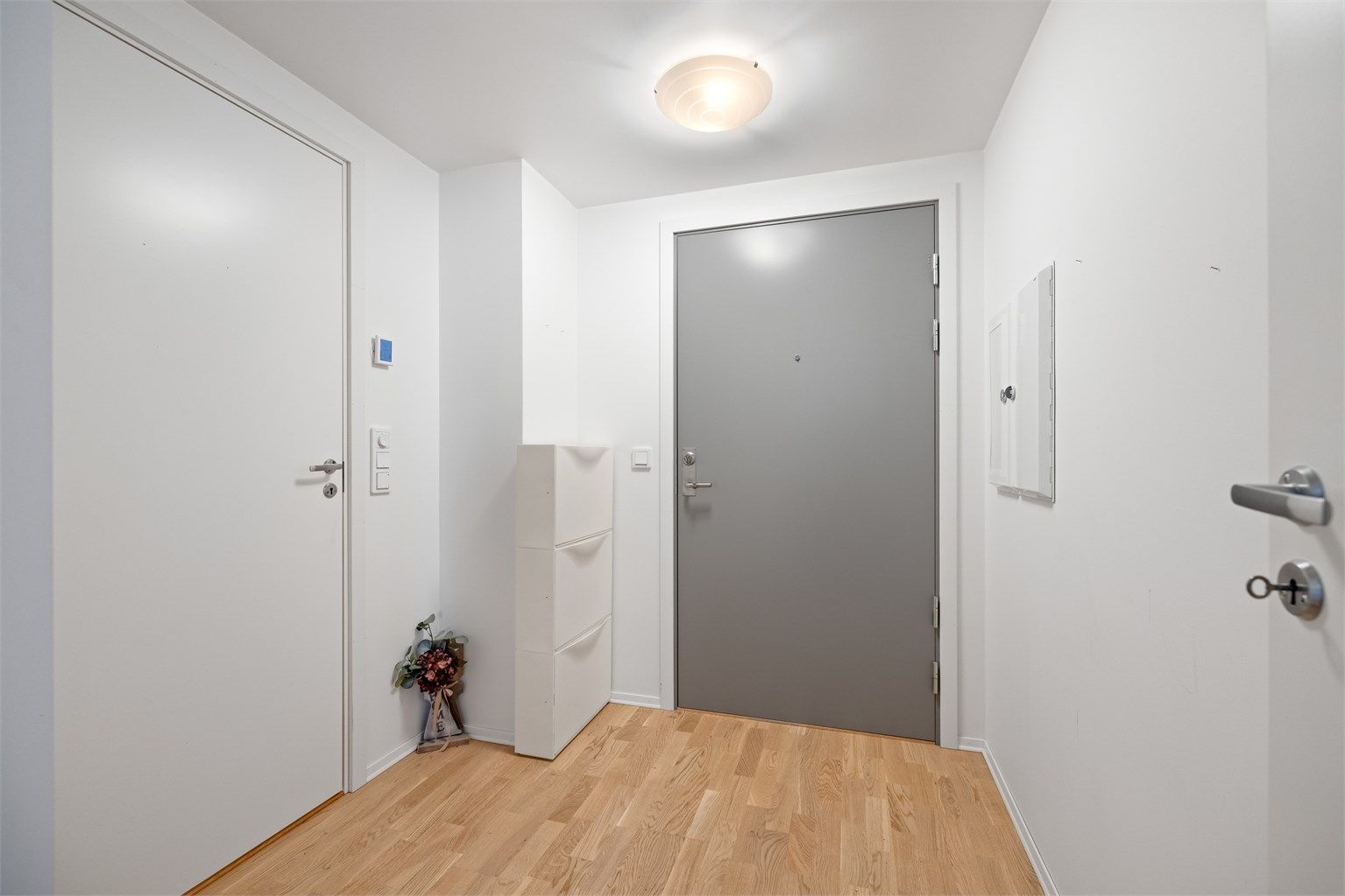 Entréen har plass til oppbevaring og en solid dør med brann- og lydklassifisering.