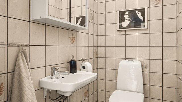 Praktisk, separat wc-rom, i tilknytning til entréen.