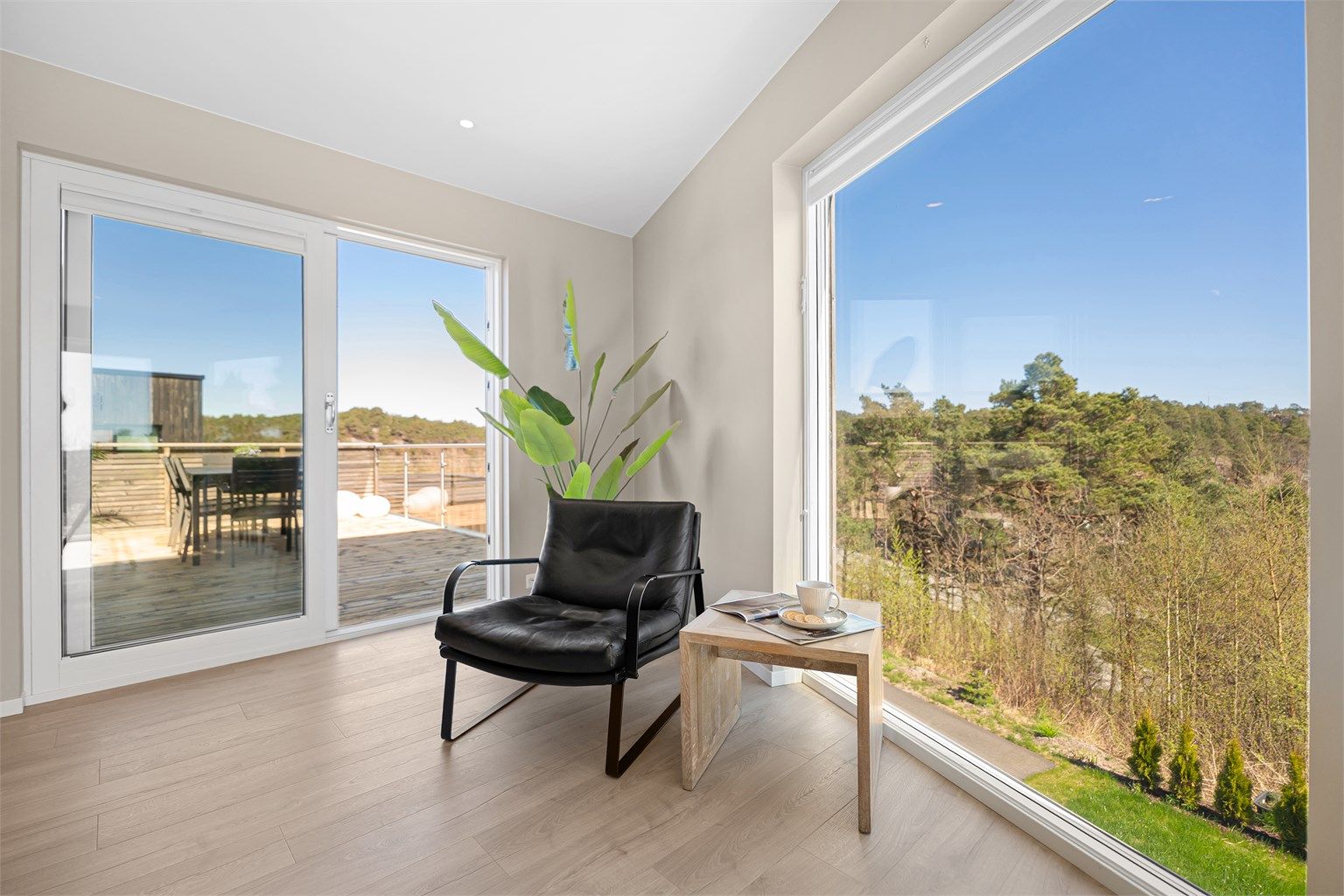 Del av kjøkken med plass til godstol, planter eller et bord